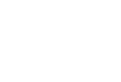 roma ford